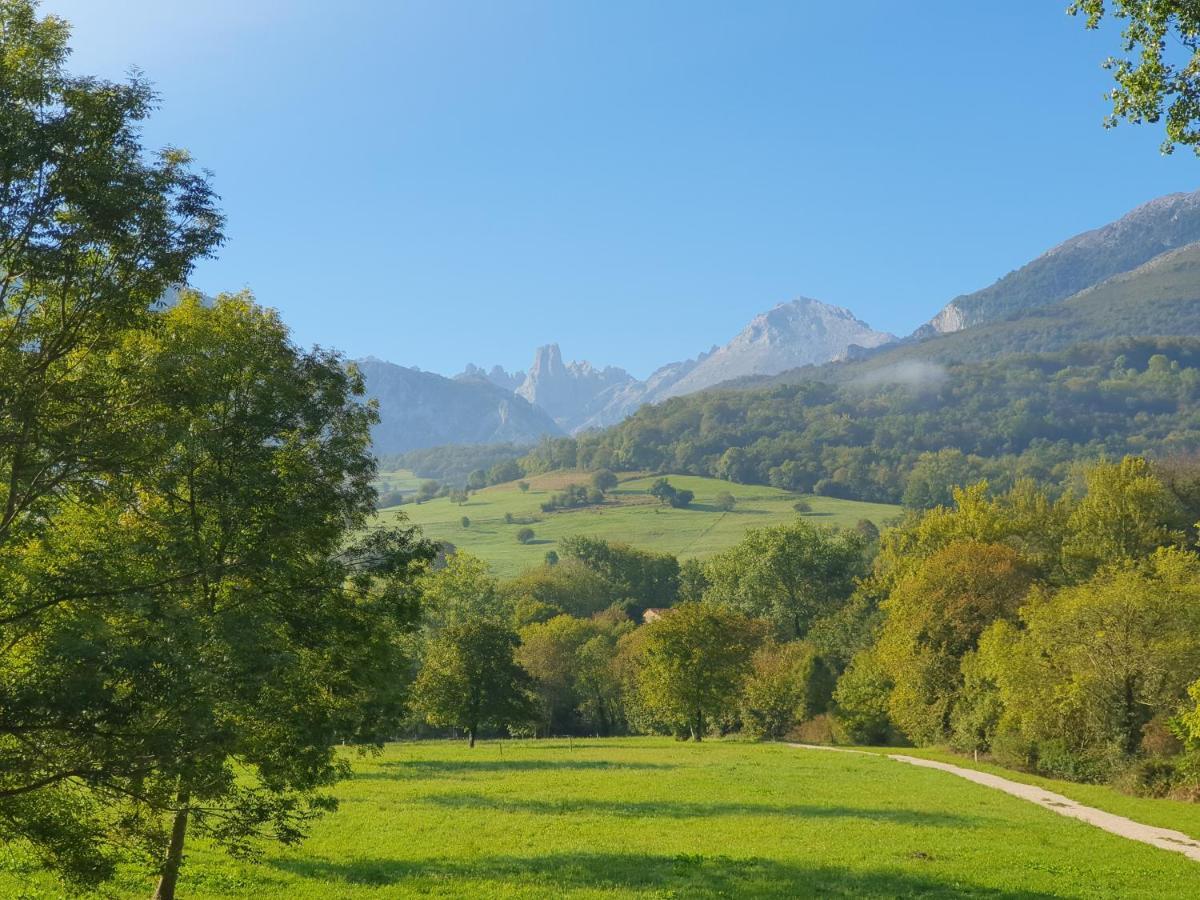 La Estancia De Cangas - Amplio Piso Con Garaje Кангас-де-Оніс Екстер'єр фото
